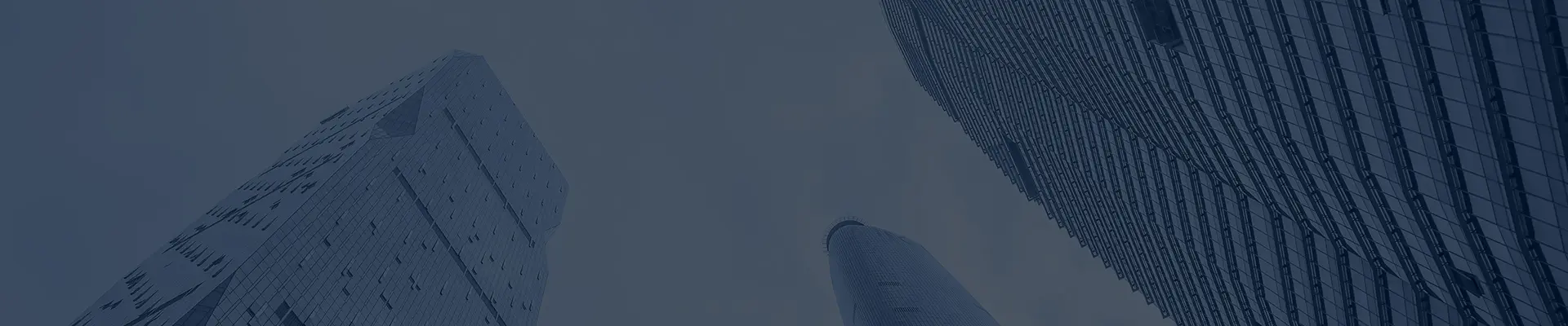 회사 소개